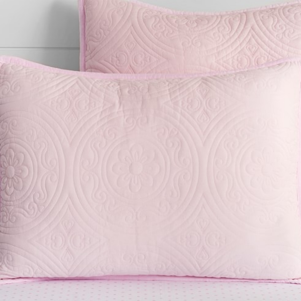 Pottery Barn Kids Hannah Medallion Daisy sham